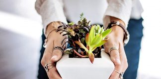 L’Afrique dans la lutte contre le réchauffement mondial